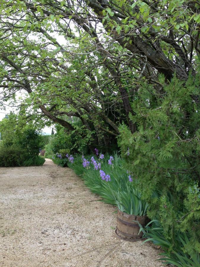 B&B Chambre De Julie Le Jardin Vaison-la-Romaine Luaran gambar